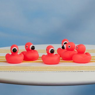 Bag Of Rubber Flamingos