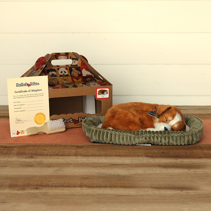 Rescue Dog Perfect Petzzz - Image 3
