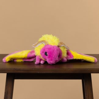 Pink and Yellow Rosy Maple Moth