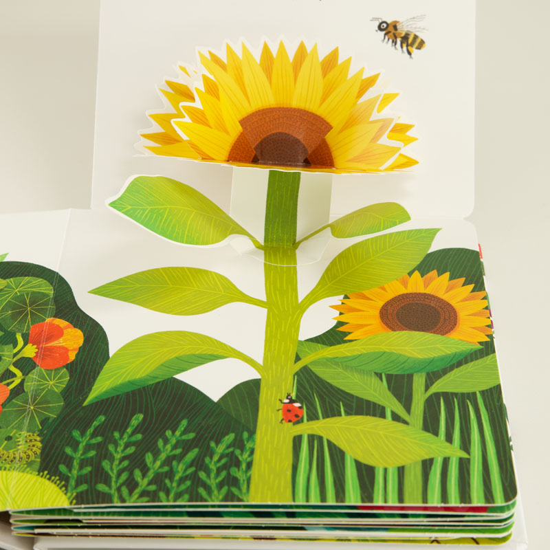 Pop Up Peekaboo Garden Book - Image 3