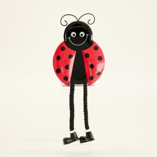 Ladybug Sitter – Boy
