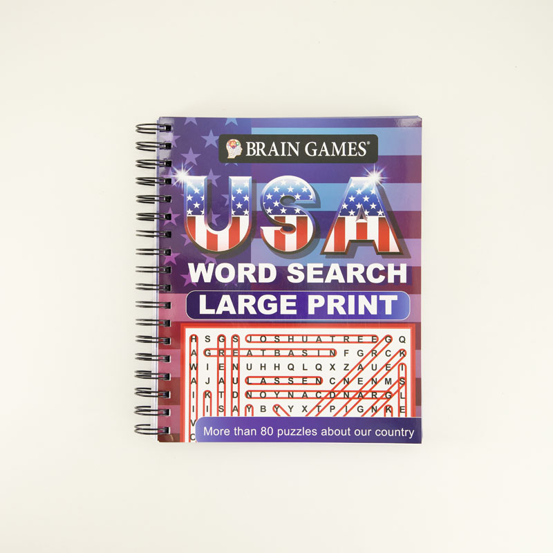 Big Large Print USA Word Search