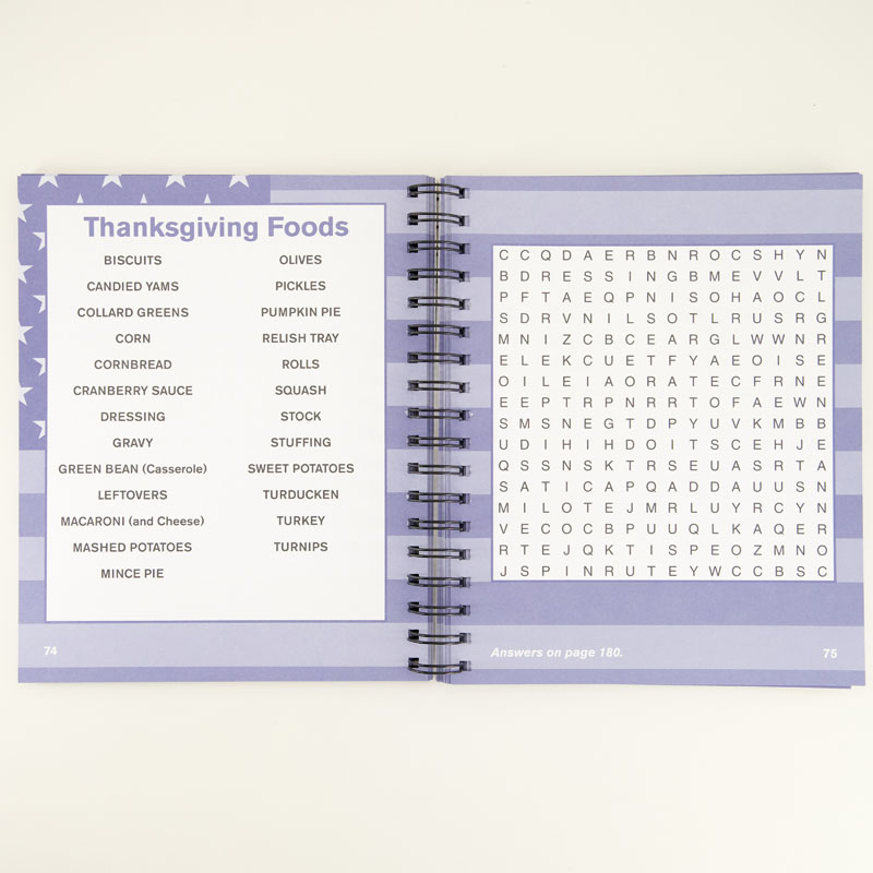 Big Large Print USA Word Search - Image 2