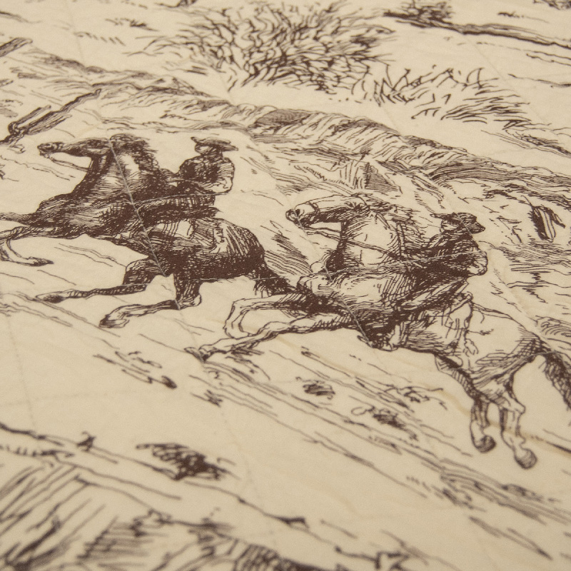 Donna Sharp Cowboy 3 Piece Cotton King Quilt Set - Image 3